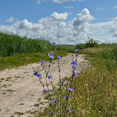 Appartamento Krull *